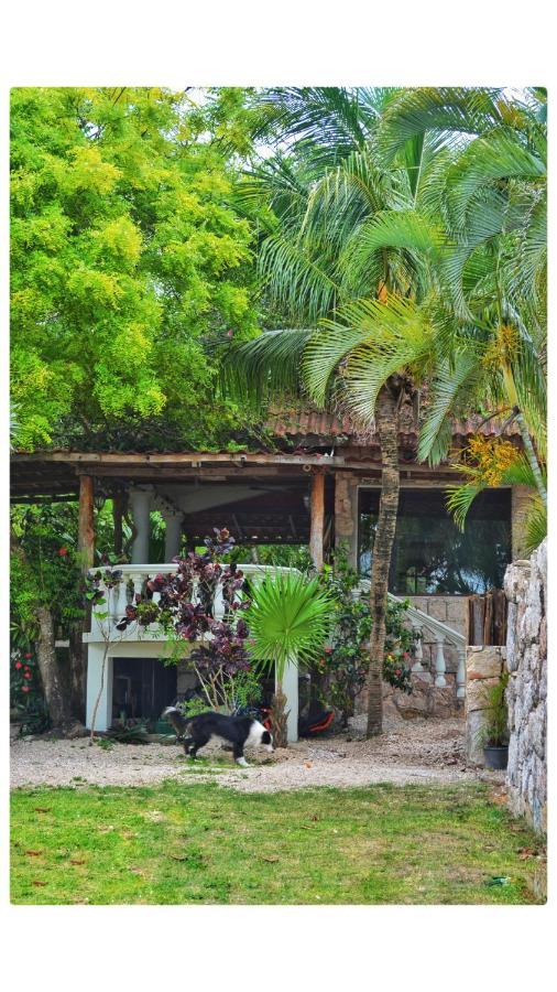 Bed and Breakfast Tortuga Bacalar Zewnętrze zdjęcie