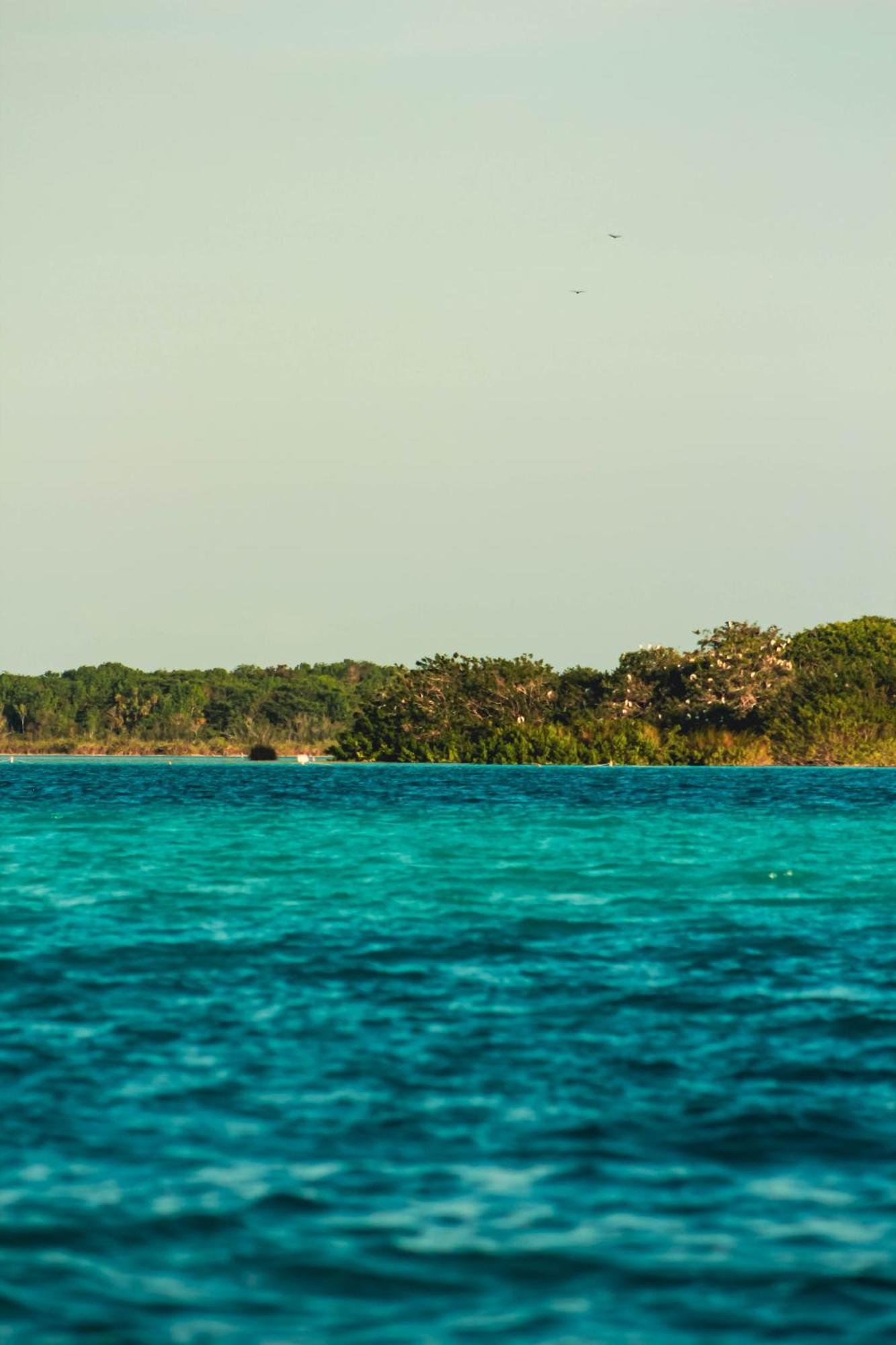 Bed and Breakfast Tortuga Bacalar Zewnętrze zdjęcie