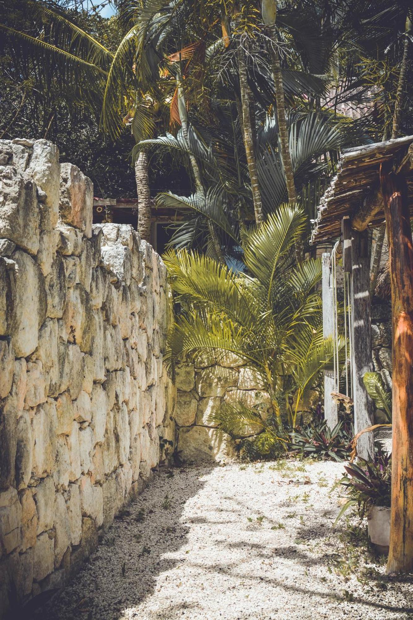 Bed and Breakfast Tortuga Bacalar Zewnętrze zdjęcie