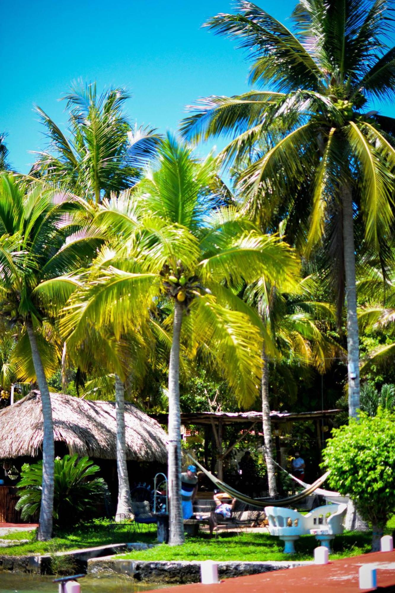 Bed and Breakfast Tortuga Bacalar Zewnętrze zdjęcie